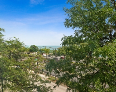 1150 N Lake Shore Drive - Photo Thumbnail 10