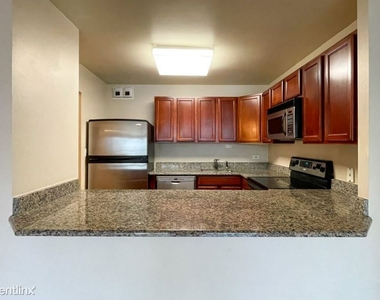 525 W Hawthorne 602 - Photo Thumbnail 5