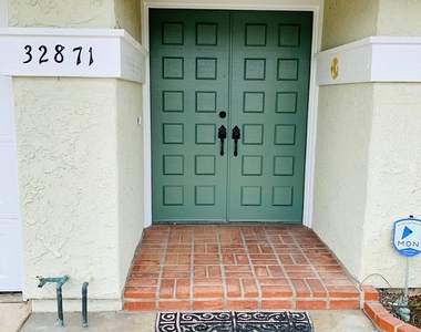 32871 Buccaneer Street - Photo Thumbnail 2