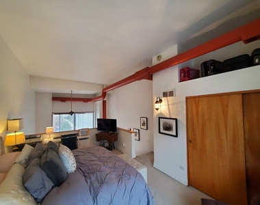 1100 W Cornelia Avenue - Photo Thumbnail 8