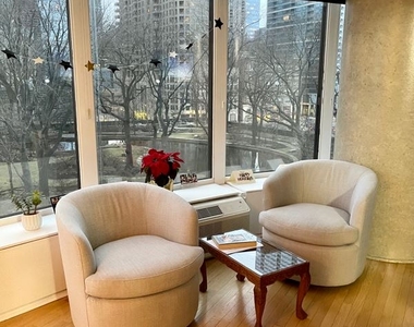 505 N Lake Shore Dr 516 - Photo Thumbnail 3