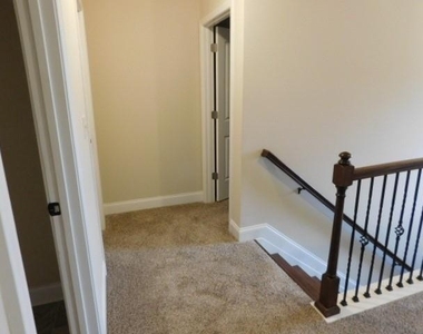 2509 Wimberley Pine Court - Photo Thumbnail 16