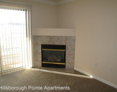 Hillsborough Pointe 14441 Sprague Ct - Photo Thumbnail 11