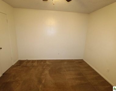 703 Traci Drive - Photo Thumbnail 11