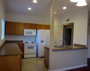 10001 Woodcreek Oaks Blvd Unit 1617 - Photo Thumbnail 5