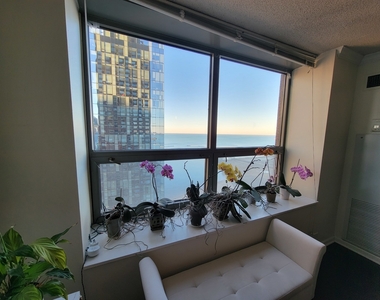 474 N Lake Shore Drive - Photo Thumbnail 6