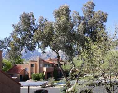 5051 N Sabino Canyon Road - Photo Thumbnail 12