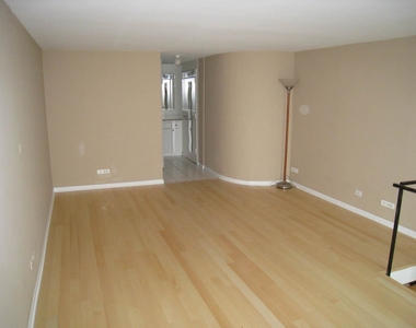 1221 N Dearborn Parkway - Photo Thumbnail 6