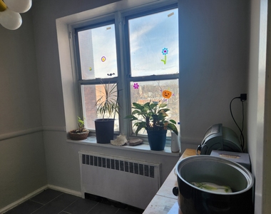 2566 Ocean Avenue, Brooklyn, NY 11229 - Photo Thumbnail 18