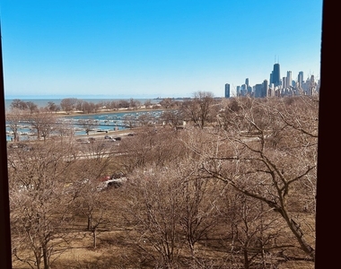 2800 N Lake Shore Drive - Photo Thumbnail 10