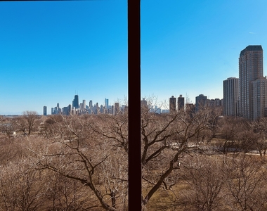 2800 N Lake Shore Drive - Photo Thumbnail 18