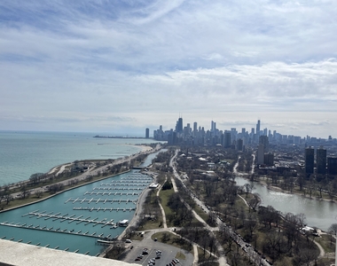 2800 N Lake Shore Drive - Photo Thumbnail 20