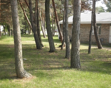 500 Windmere Pines Ct - Photo Thumbnail 22