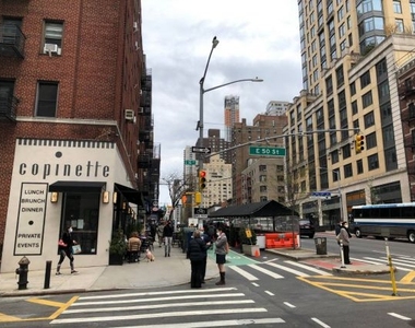 352 East 50th Street - Photo Thumbnail 11
