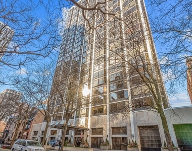 50 E Bellevue Place - Photo Thumbnail 3