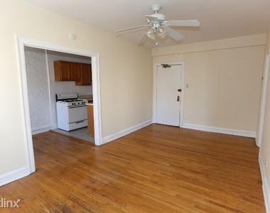 1164 N. Dearborn, Unit C203 - Photo Thumbnail 7