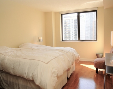 33 W Delaware Place - Photo Thumbnail 14