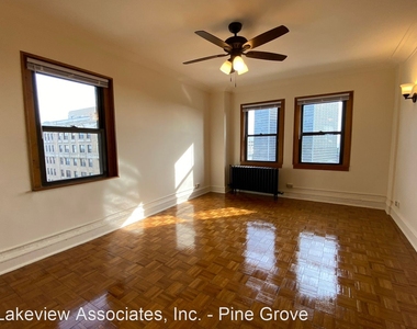 2738 N. Pine Grove - Photo Thumbnail 2