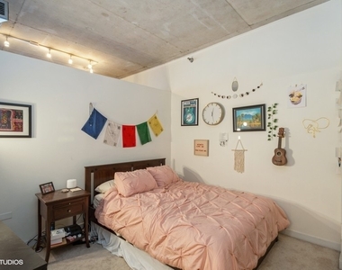 720 N Larrabee Street - Photo Thumbnail 7