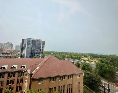 3950 N Lake Shore Drive - Photo Thumbnail 12