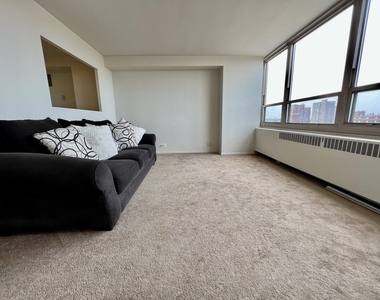 3950 N Lake Shore Drive - Photo Thumbnail 13