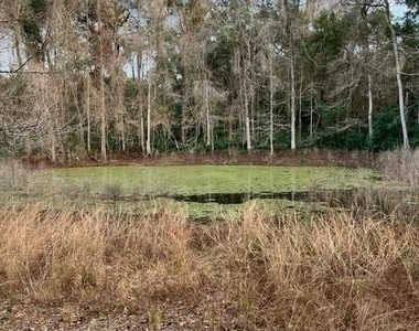 1417 Southwood Plantation Road - Photo Thumbnail 18