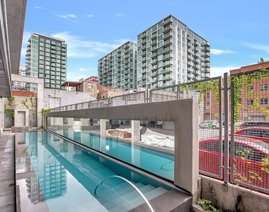 242 Rue Young #803 - Photo Thumbnail 36