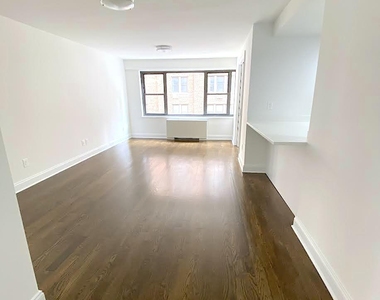East 55h Street - Photo Thumbnail 4
