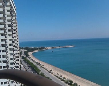 1150 N Lake Shore Drive - Photo Thumbnail 16