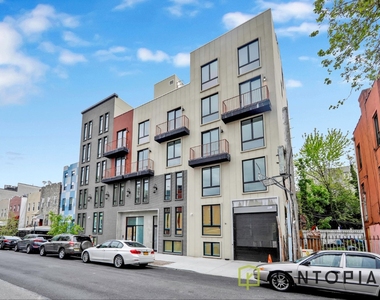 58 Palmetto Street - Photo Thumbnail 8