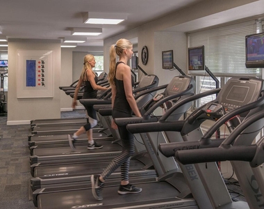  - Photo Thumbnail 6