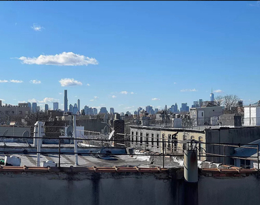 1027 Putnam Avenue - Photo Thumbnail 6