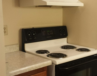 221 Huth St. - Photo Thumbnail 23