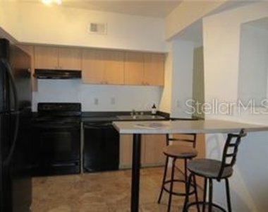 2411 W Horatio Street - Photo Thumbnail 2