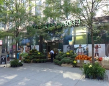 Tribeca  - Photo Thumbnail 9