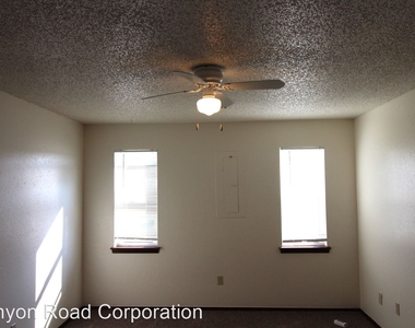 316 Falcon Ct - Photo Thumbnail 17