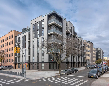 889 Bushwick Avenue - Photo Thumbnail 11