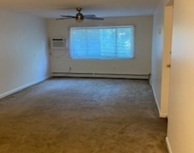 43 Mccormick Terrace - Photo Thumbnail 18