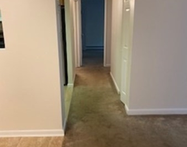 43 Mccormick Terrace - Photo Thumbnail 16