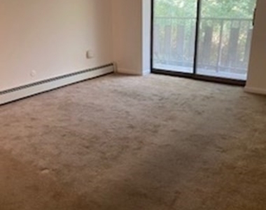 43 Mccormick Terrace - Photo Thumbnail 6