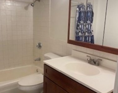 43 Mccormick Terrace - Photo Thumbnail 10