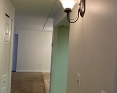 43 Mccormick Terrace - Photo Thumbnail 5