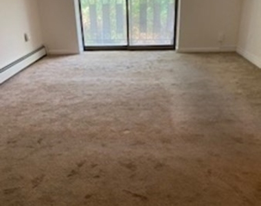 43 Mccormick Terrace - Photo Thumbnail 11