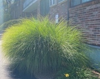 43 Mccormick Terrace - Photo Thumbnail 19