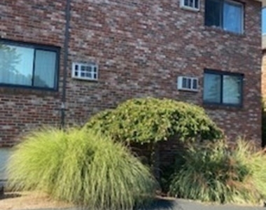 43 Mccormick Terrace - Photo Thumbnail 21