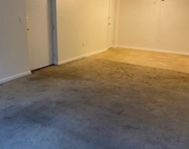 43 Mccormick Terrace - Photo Thumbnail 9