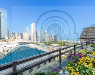 310 South Michigan Avenue - Photo Thumbnail 18