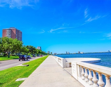 4015 Bayshore Boulevard - Photo Thumbnail 4