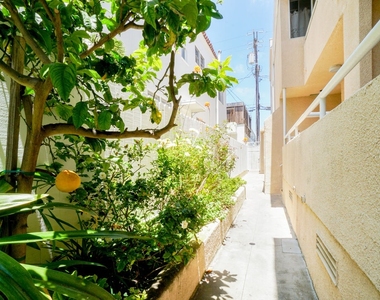 1239 9th St - Photo Thumbnail 3