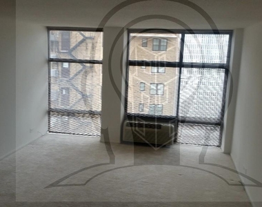 65 E Scott  Chicago, Il. 60610 - Photo Thumbnail 10